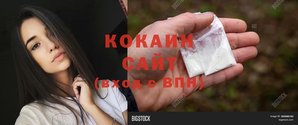 прущие грибы Армянск