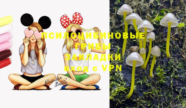 марки nbome Аркадак